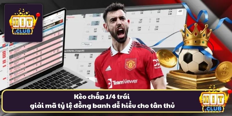 Kèo chấp 1/4 trái giải mã tỷ lệ đồng banh dễ hiểu cho tân thủ